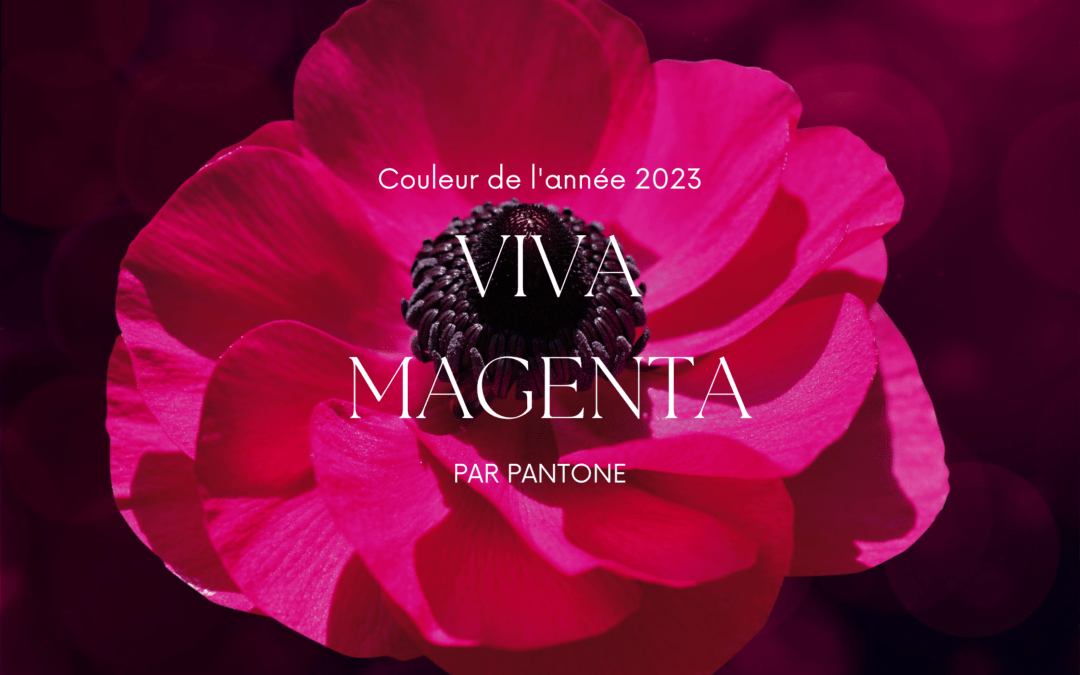 Et « Viva Magenta » ! Élue couleur de l’année 2023