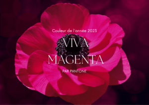 Viva Magenta, couleur de l'année 2023 élue par Pantone, couleur de décoration de mariage 2023, inspiration mariage, coloris mariage, tons décoration de mariage