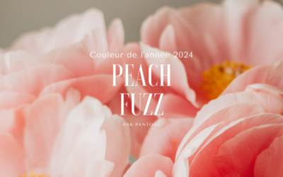 Décoration de mariage : la couleur tendance de l&rsquo;année 2024