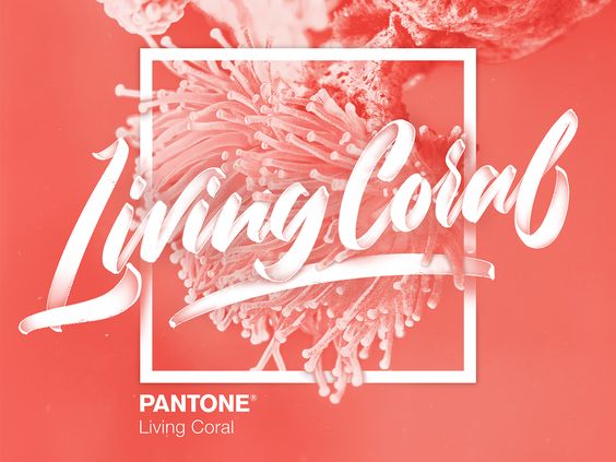 couleur de l'année, living coral, corail, couleur mariage