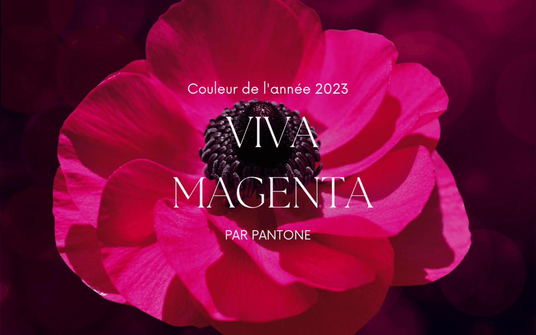 Et « Viva Magenta » ! Élue couleur de l&rsquo;année 2023