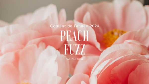 Couleur décoration mariage 2024, élue par Pantone, Peach Fuzz, décoration mariage 2024, thème couleur 2024, couleur pour décorer les mariages en 2024, couleur Pêche mariage