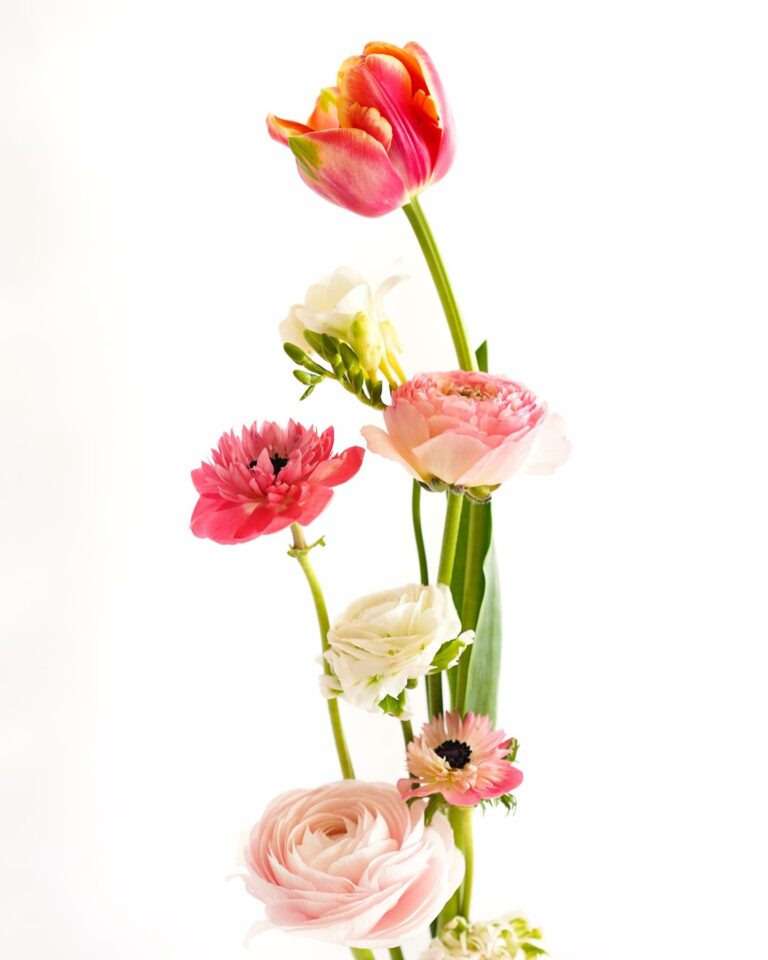 Artiste florale Maeko Design a Narbonne 768x960