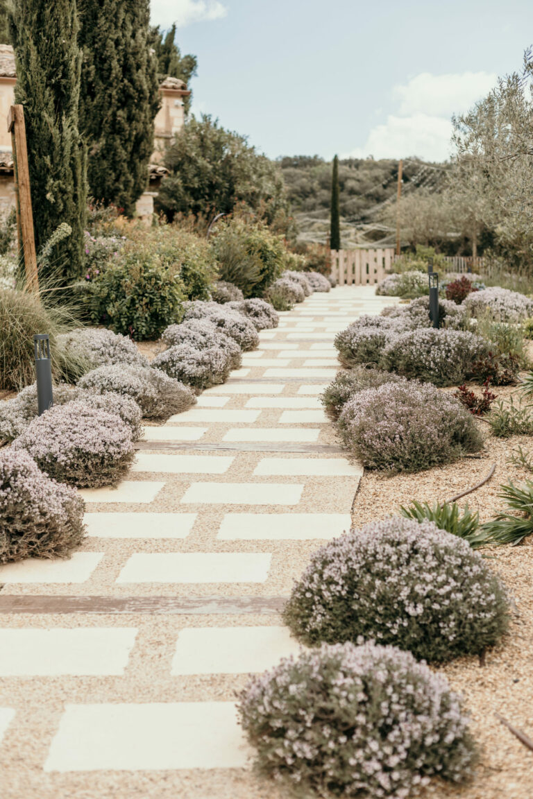 chemin qui serpente entre les espaces du domaine Le Grand Belly domaine mariage Gard Magazine Mariage Beaute scaled 1 768x1152